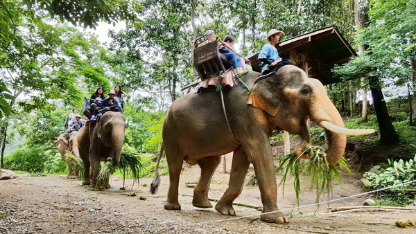 Welcome to Rati Lanna Hotel Chiang Mai